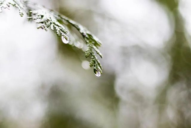 空氣濕度大帶來的危害有哪些，你知道嗎？