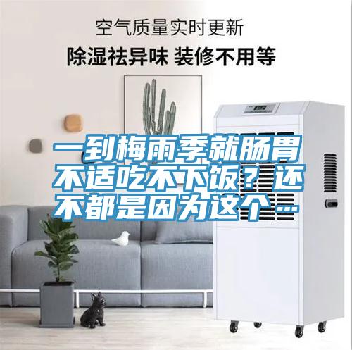一到梅雨季就腸胃不適吃不下飯?還不都是因為這個…