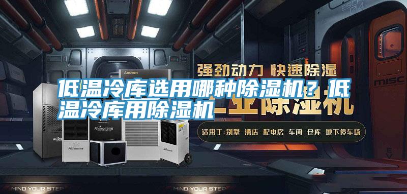 低溫冷庫選用哪種除濕機?低溫冷庫用除濕機