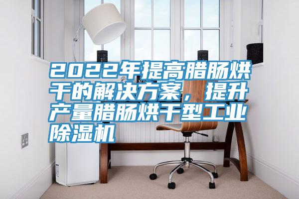 2022年提高臘腸烘干的解決方案，提升產量臘腸烘干型工業除濕機