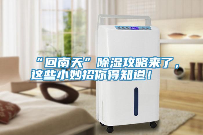 “回南天”除濕攻略來了,這些小妙招你得知道!