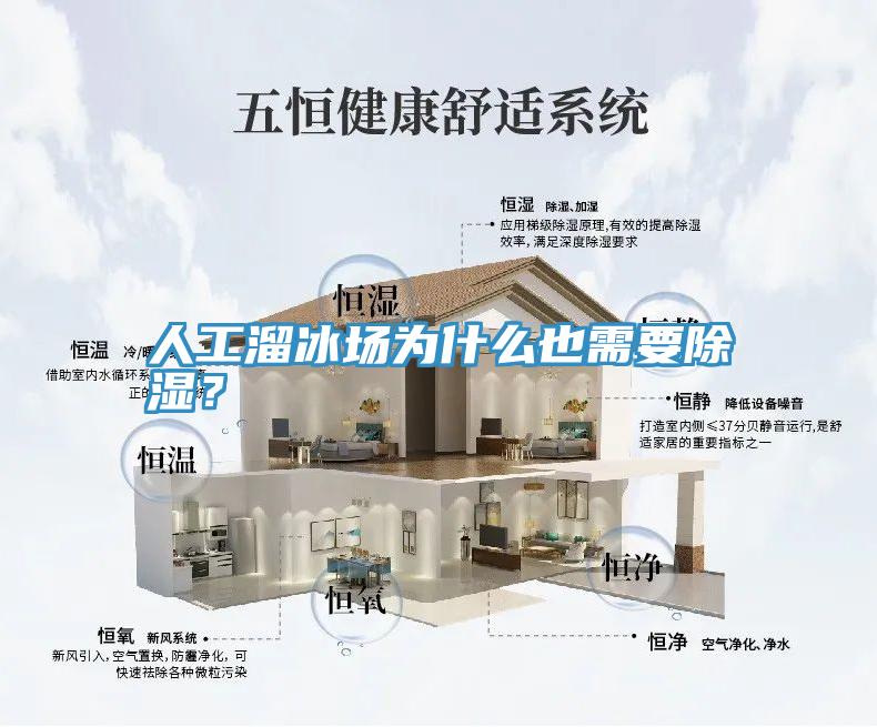 人工溜冰場為什么也需要除濕？