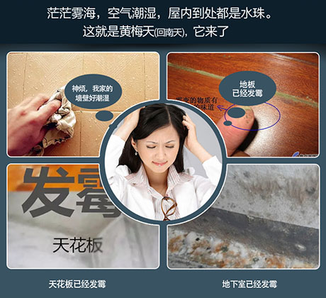 家庭別墅的地下室、衛生間、儲物室等該如何除濕？