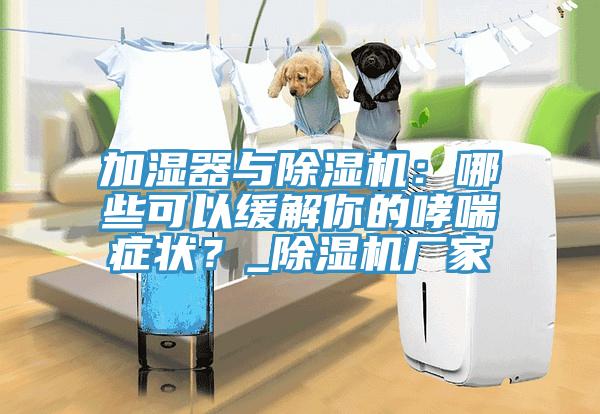 加濕器與除濕機：哪些可以緩解你的哮喘癥狀？_除濕機廠家