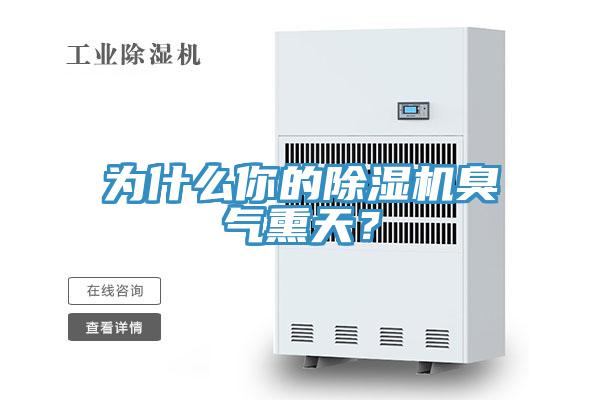 為什么你的除濕機臭氣熏天?