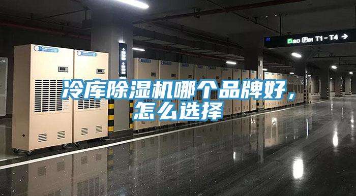 冷庫除濕機哪個品牌好，怎么選擇