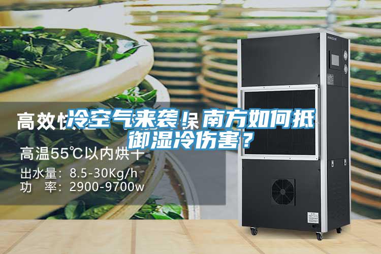 冷空氣來襲！南方如何抵御濕冷傷害？