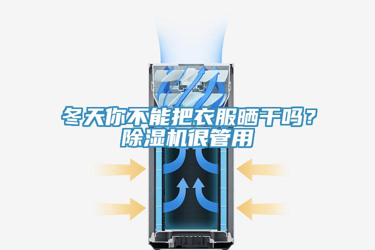 冬天你不能把衣服曬干嗎？除濕機很管用