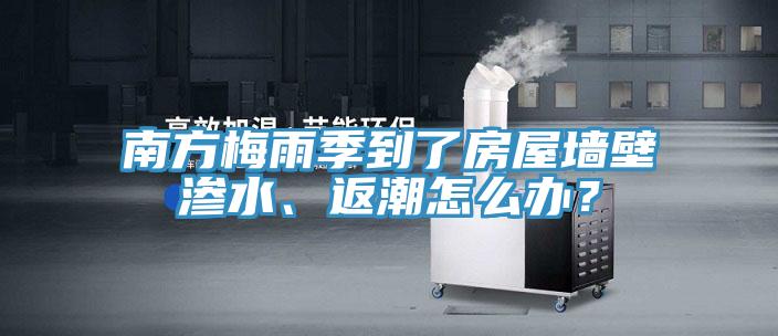 南方梅雨季到了房屋墻壁滲水、返潮怎么辦？
