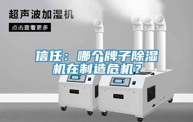 信任:哪個牌子除濕機在制造危機?