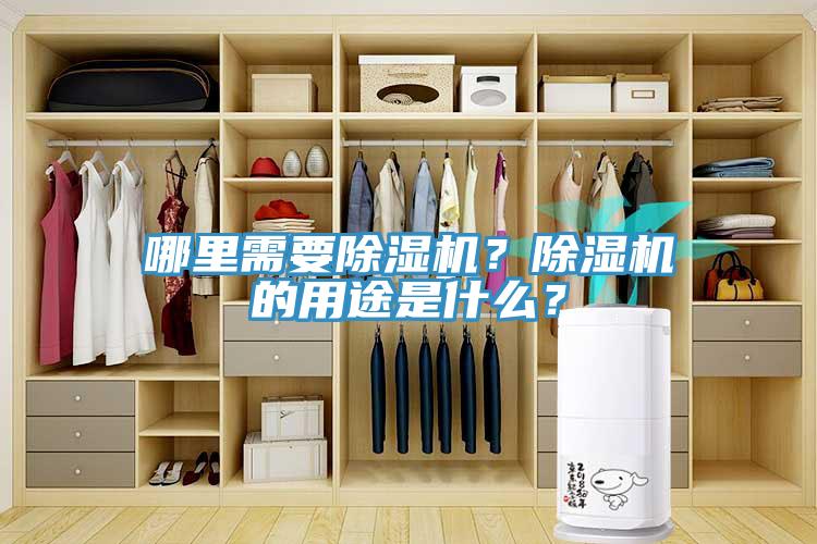 哪里需要除濕機？除濕機的用途是什么？