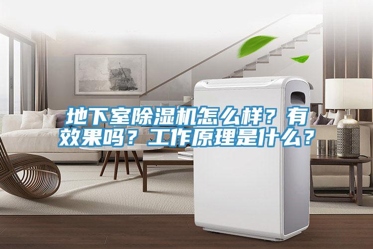 地下室除濕機怎么樣？有效果嗎？工作原理是什么？
