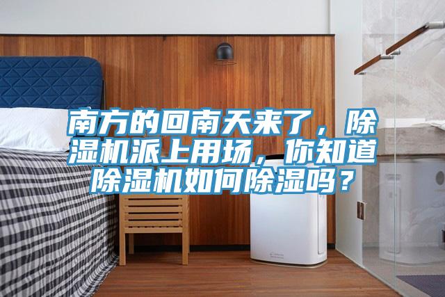 南方的回南天來了，除濕機(jī)派上用場，你知道除濕機(jī)如何除濕嗎？