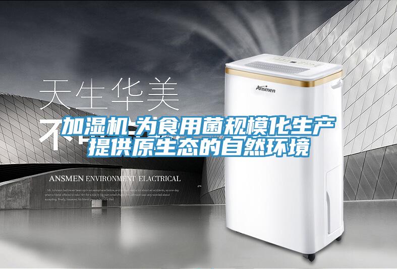 加濕機　為食用菌規?；a提供原生態的自然環境