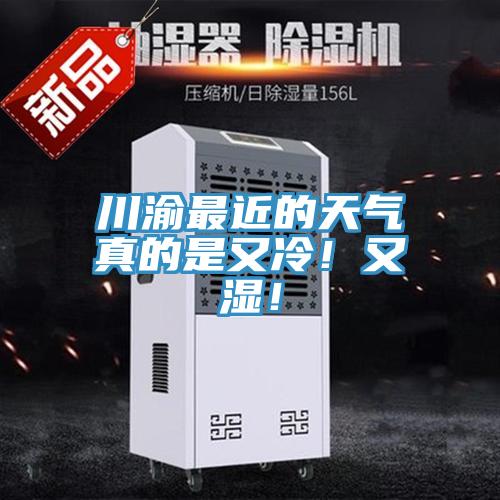川渝最近的天氣真的是又冷！又濕！