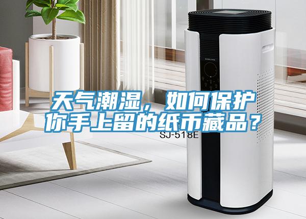 天氣潮濕，如何保護你手上留的紙幣藏品？