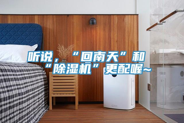 聽說，“回南天”和“除濕機”更配喔~