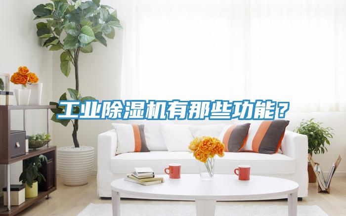 工業(yè)除濕機(jī)有那些功能？