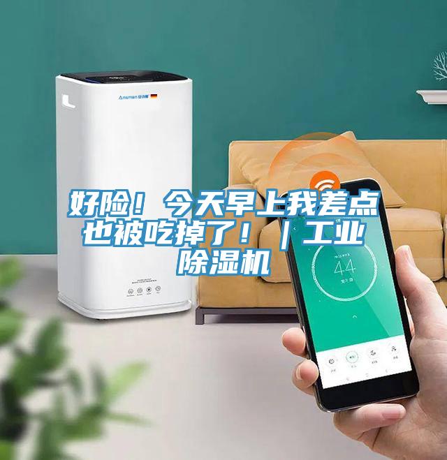 好險(xiǎn)！今天早上我差點(diǎn)也被吃掉了！｜工業(yè)除濕機(jī)
