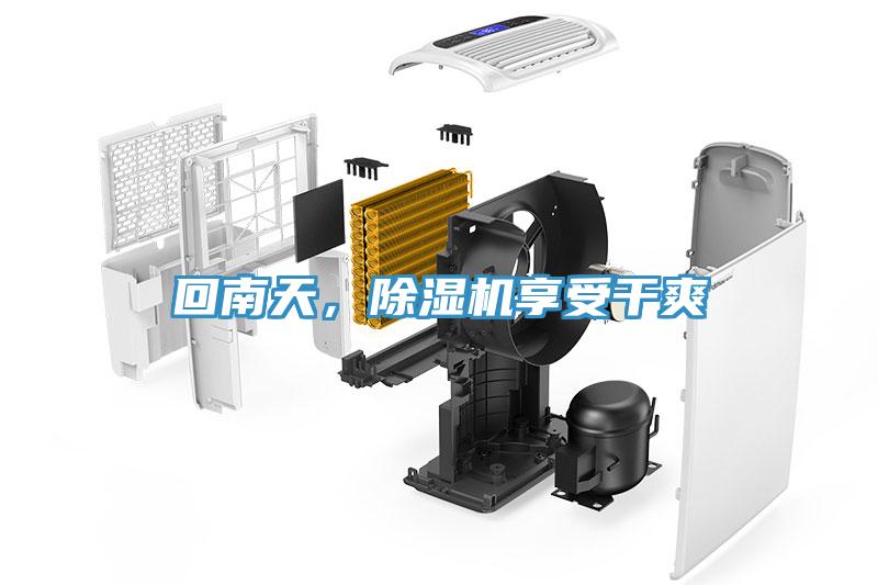 回南天,除濕機享受干爽