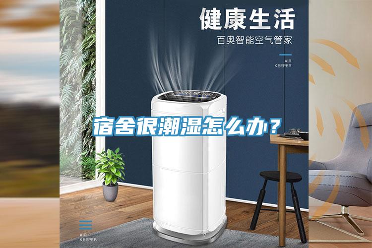 宿舍很潮濕怎么辦?