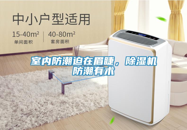 室內(nèi)防潮迫在眉睫，除濕機(jī)防潮有術(shù)