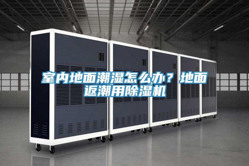 室內地面潮濕怎么辦?地面返潮用除濕機