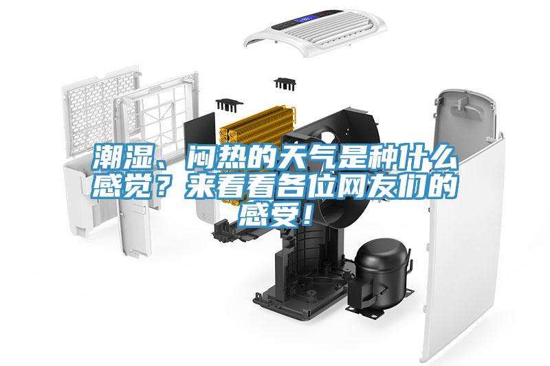 潮濕、悶熱的天氣是種什么感覺？來看看各位網友們的感受！