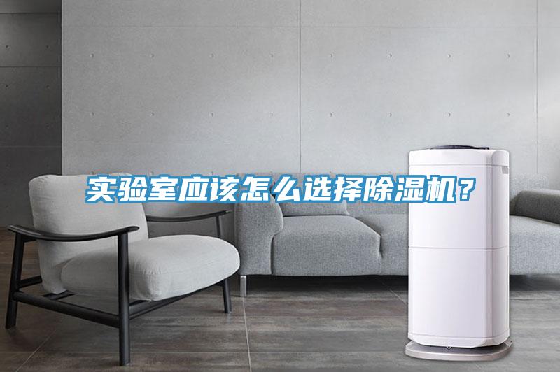 實(shí)驗(yàn)室應(yīng)該怎么選擇除濕機(jī)?