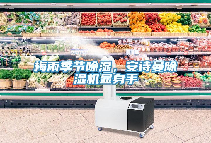 梅雨季節除濕，安詩曼除濕機顯身手