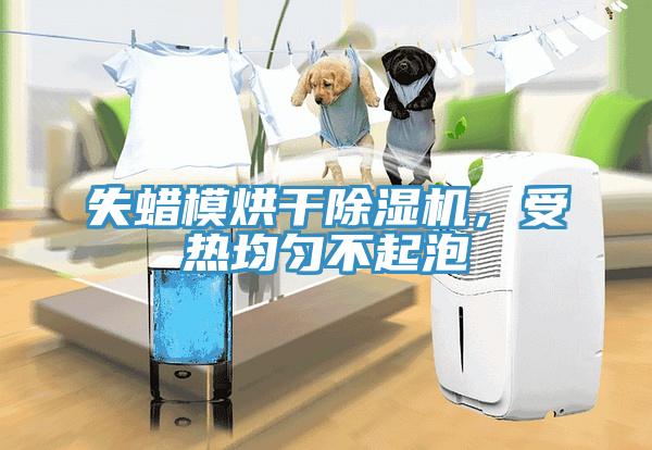 失蠟模烘干除濕機，受熱均勻不起泡