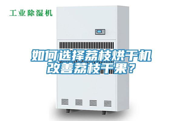 如何選擇荔枝烘干機(jī)改善荔枝干果？