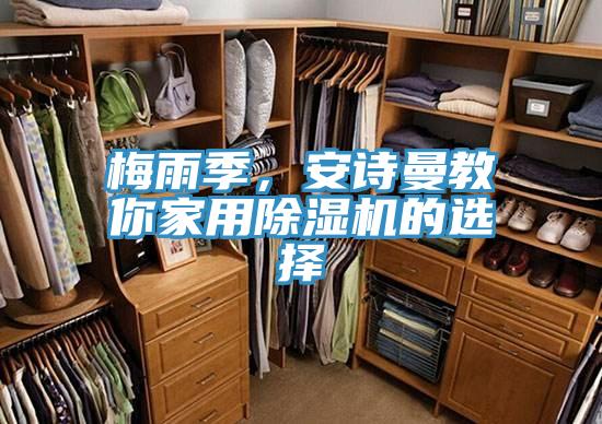 梅雨季，安詩曼教你家用除濕機的選擇