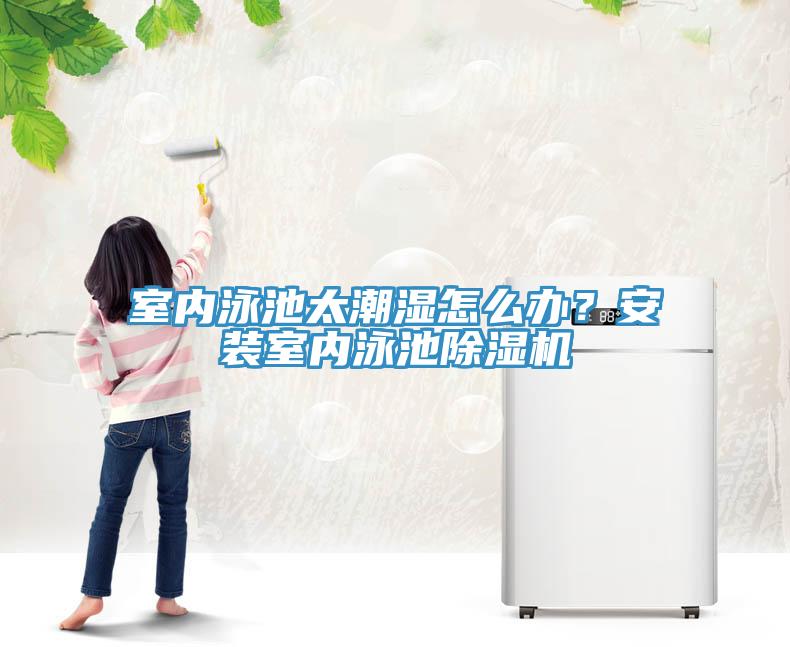 室內泳池太潮濕怎么辦?安裝室內泳池除濕機