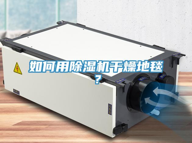 如何用除濕機干燥地毯?