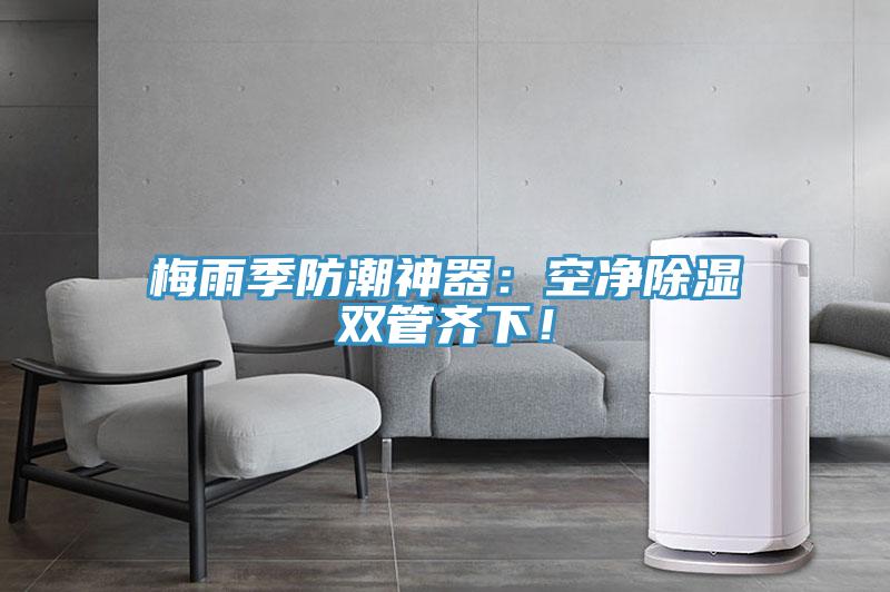 梅雨季防潮神器：空凈除濕雙管齊下！