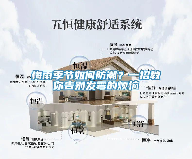 梅雨季節(jié)如何防潮?一招教你告別發(fā)霉的煩惱