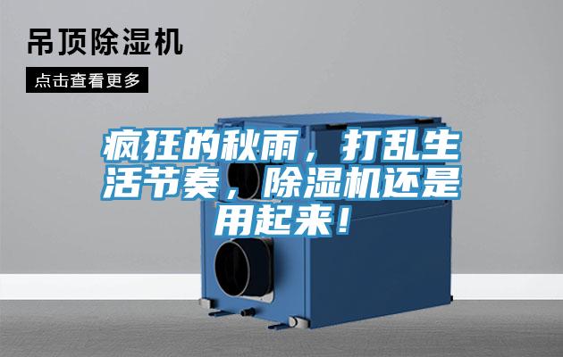 瘋狂的秋雨，打亂生活節(jié)奏，除濕機還是用起來！