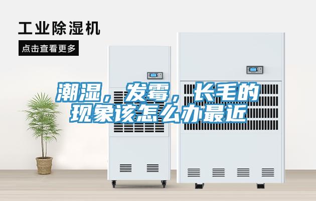 潮濕，發霉，長毛的現象該怎么辦最近