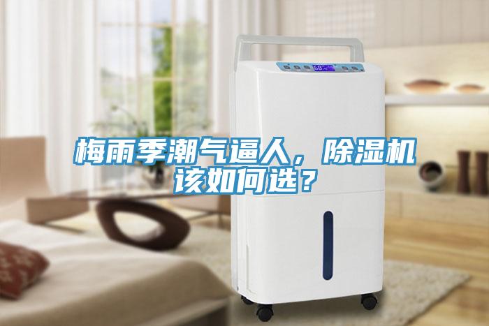 梅雨季潮氣逼人，除濕機(jī)該如何選？