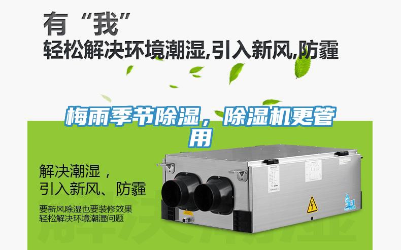 梅雨季節除濕，除濕機更管用