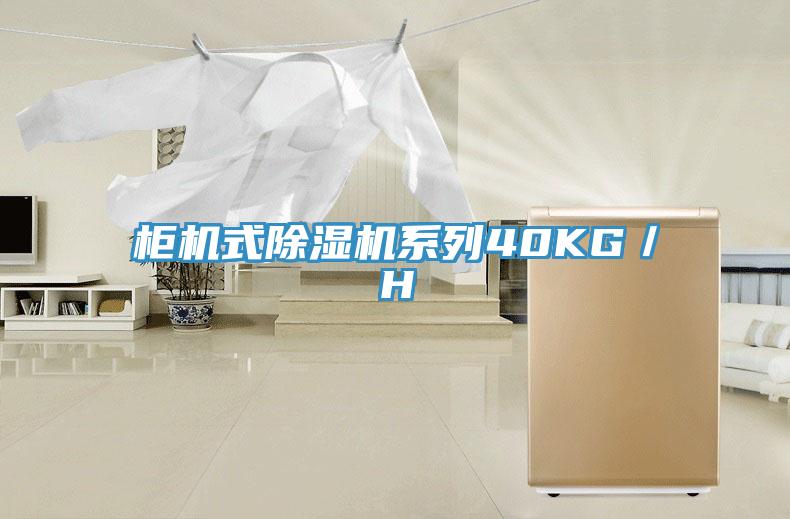 柜機式除濕機系列40KG/H