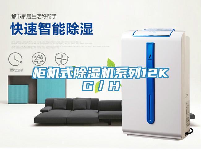 柜機式除濕機系列12KG/H