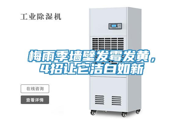 梅雨季墻壁發霉發黃，4招讓它潔白如新