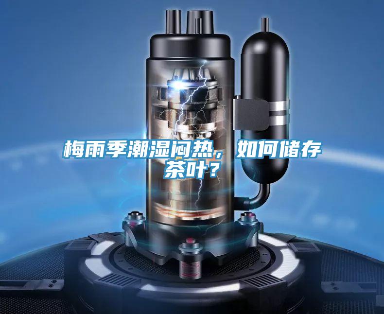梅雨季潮濕悶熱，如何儲存茶葉？