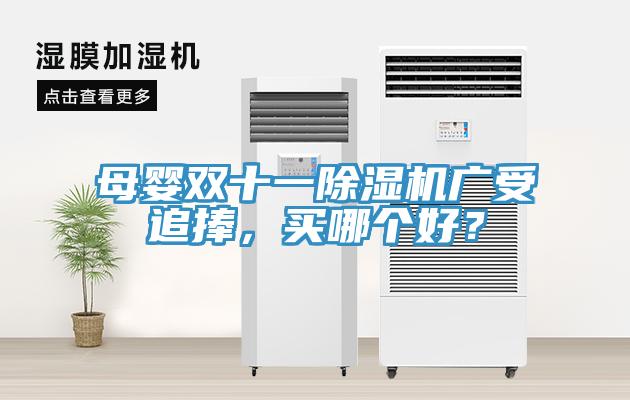 母嬰雙十一除濕機廣受追捧,買哪個好?