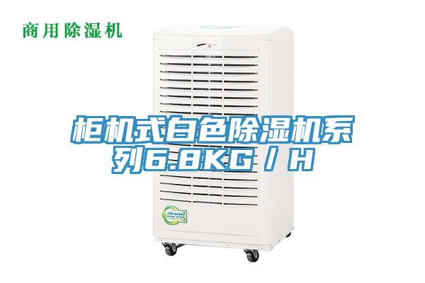 柜機式白色除濕機系列6.8KG/H