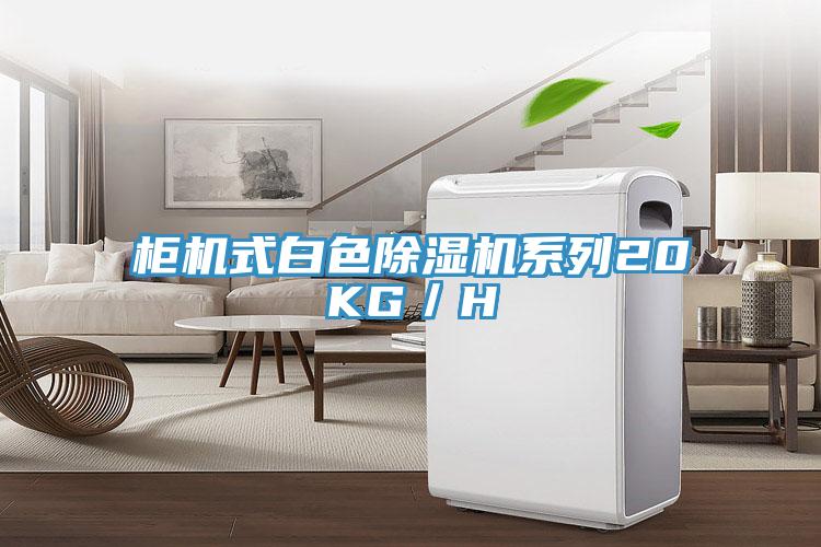 柜機式白色除濕機系列20KG/H