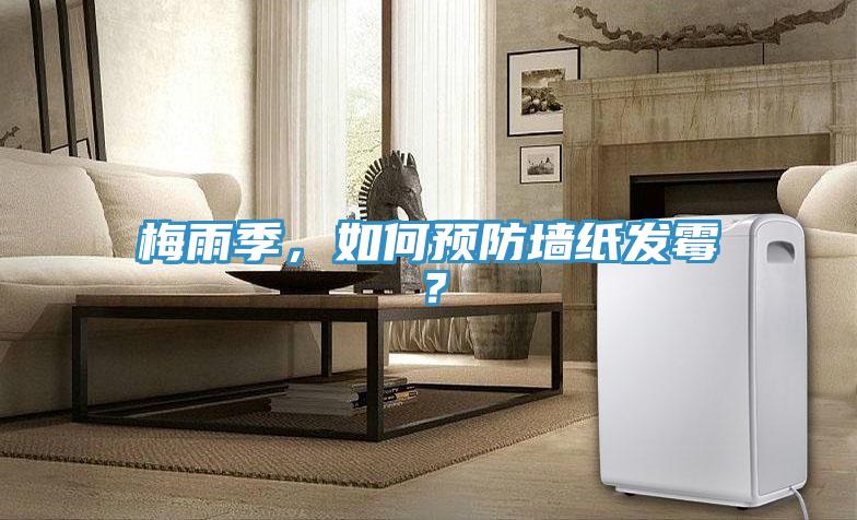 梅雨季,如何預防墻紙發霉?