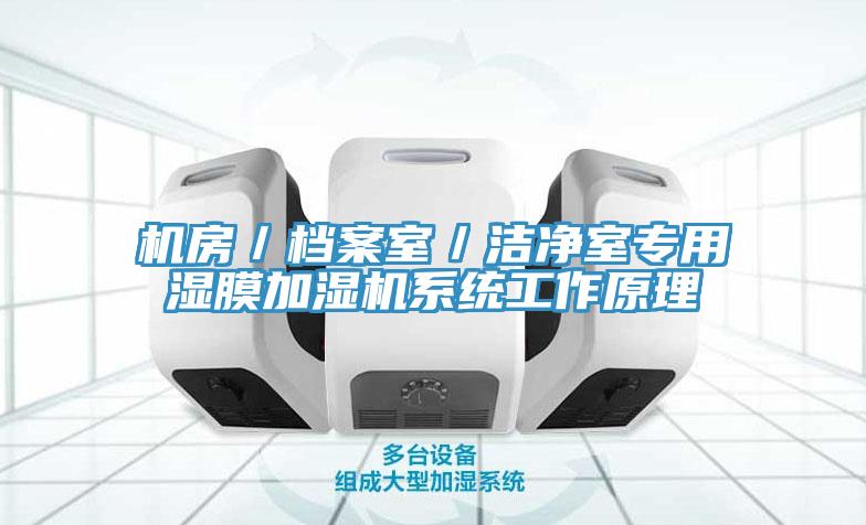 機房/檔案室/潔凈室專用濕膜加濕機系統(tǒng)工作原理